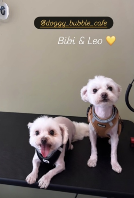 Bibi & Leo