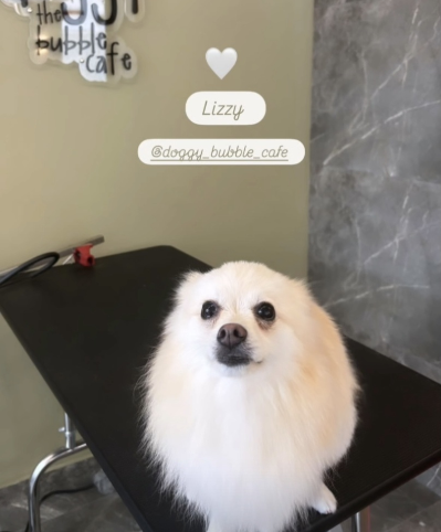 Lizzy