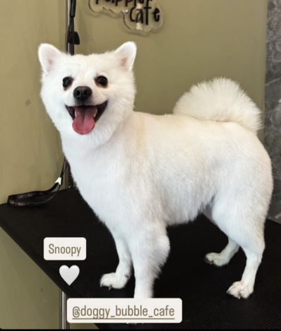 Snoopy