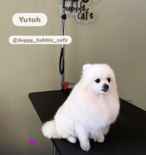 Yutah